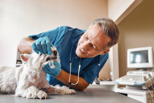 Best Same-Day Emergency Dentist in Parrish, AL